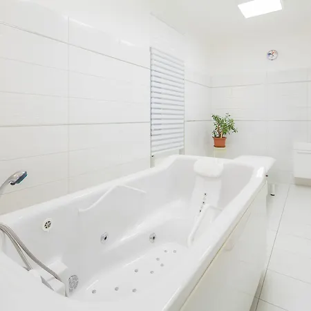 Palatin Hotel 4*